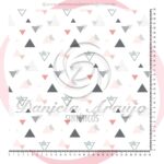 TRIANGULO 10403 - 1