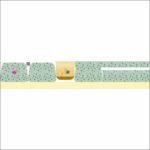 FRASQUEIRA BABY- 438-49 - Imagem 2